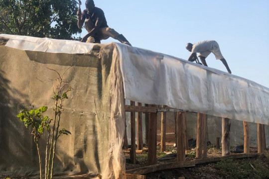 green house maintenance